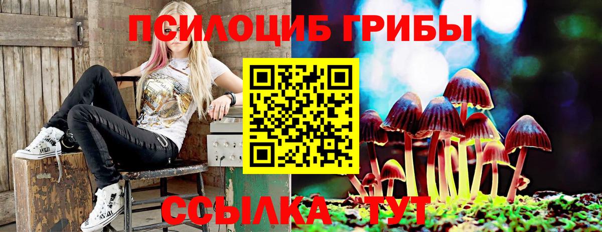 Галлюциногенные грибы Magic Shrooms Великий Устюг